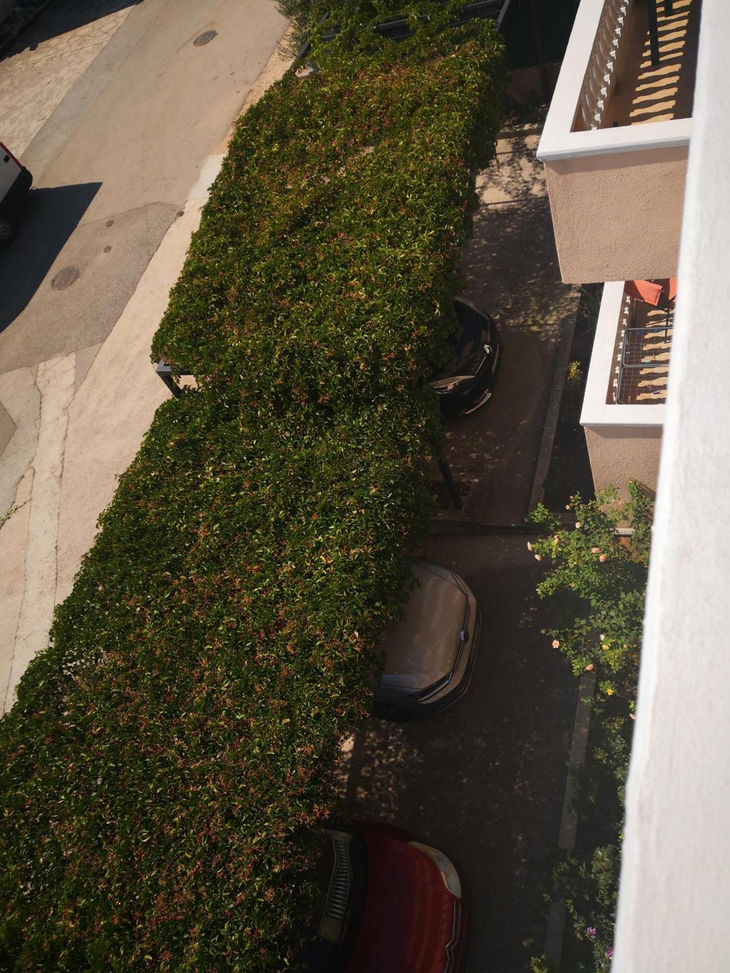 Apartment Plavia Biograd بيوغْغاد نا موغو المظهر الخارجي الصورة